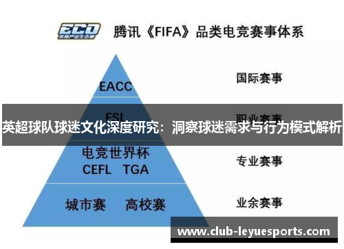 英超球队球迷文化深度研究:洞察球迷需求与行为模式解析 英超球队球迷文化深度研究:洞察球迷需求与行为模式解析