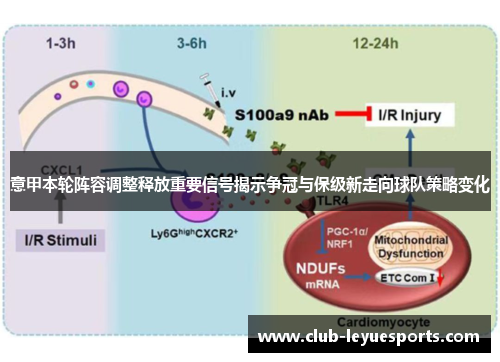 意甲本轮阵容调整释放重要信号揭示争冠与保级新走向球队策略变化 意甲本轮阵容调整释放重要信号揭示争冠与保级新走向球队策略变化