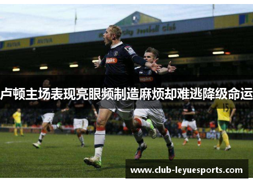 卢顿主场表现亮眼频制造麻烦却难逃降级命运