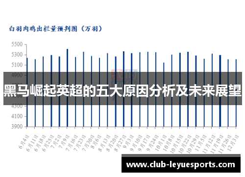 黑马崛起英超的五大原因分析及未来展望 黑马崛起英超的五大原因分析及未来展望